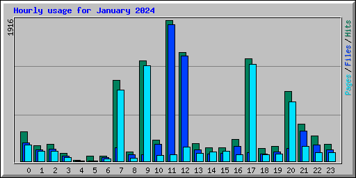 Hourly usage for January 2024