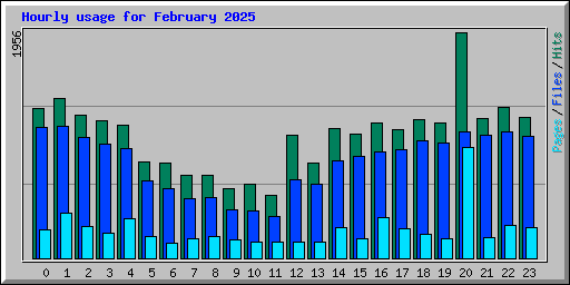 Hourly usage for February 2025