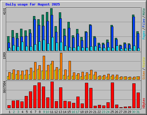 Daily usage for August 2025