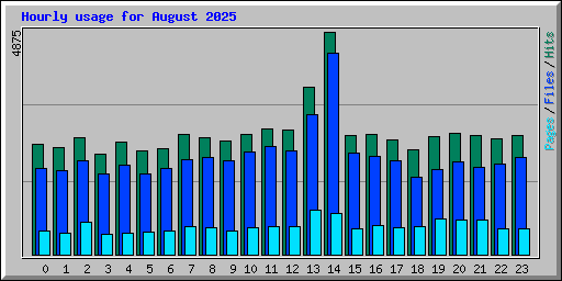 Hourly usage for August 2025