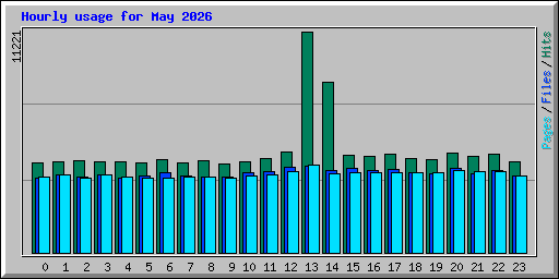 Hourly usage for May 2026