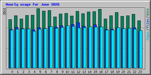 Hourly usage for June 2026